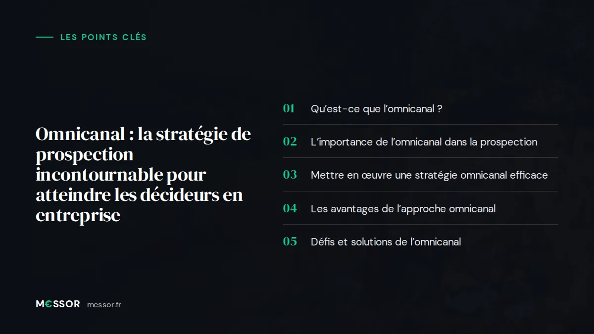 Infographie : les 5 points clés de l’article « Omnicanal : La Stratégie de Prospection Incontournable pour Atteindre les Décideurs en Entreprise »