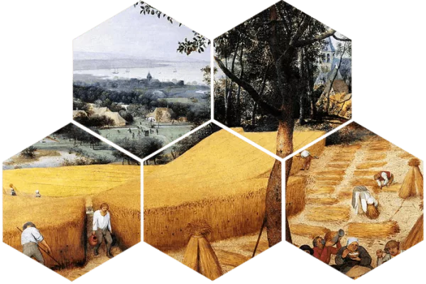 messor-moisson-webp